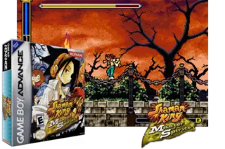 Image n° 3 - screenshots  : Shaman King - Master of Spirits